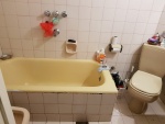160_20210304114000.jpg